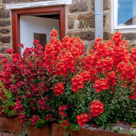Chimes Cottage Guisborough Εξωτερικό φωτογραφία